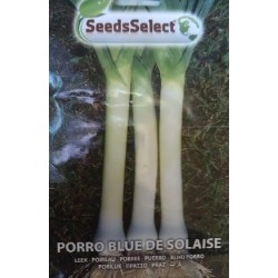 puerro blue de solaise