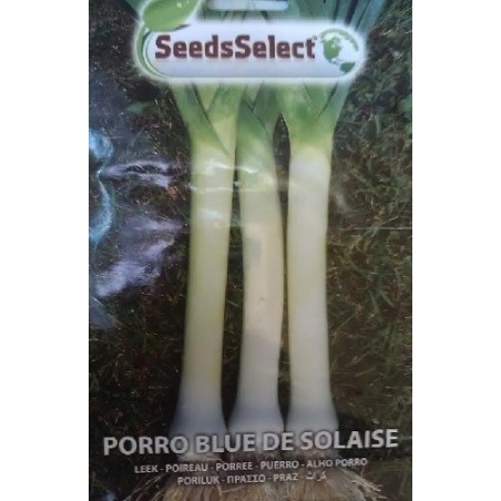 puerro blue de solaise