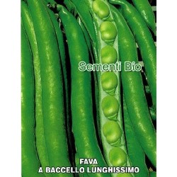 haba aguadulce slonga  - semillas ecologicas