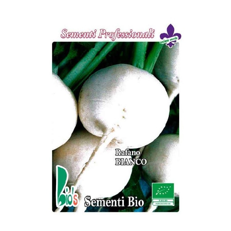 rÃ¡bano blanco redondo de MilÃ¡n (semillas ecolÃ³gicas)