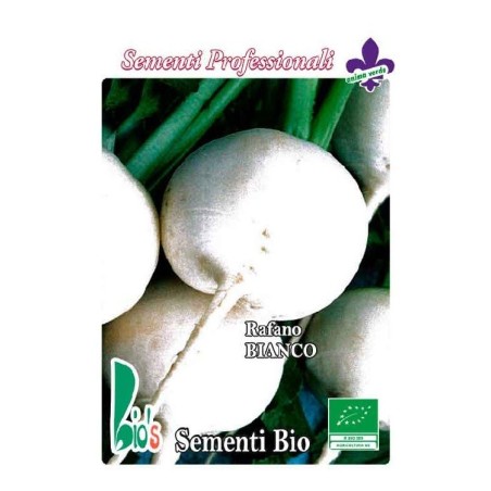rÃ¡bano blanco redondo de MilÃ¡n (semillas ecolÃ³gicas)