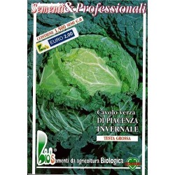 semillas ecologicas de repollo invernal tardio de Piacenza