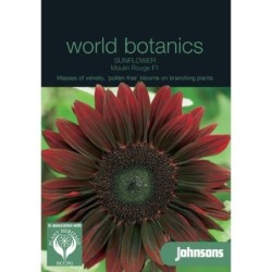 girasol rojo moulin rouge F1