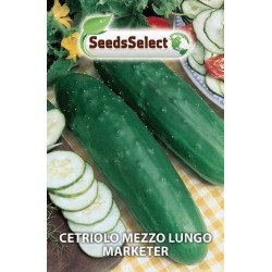 pepino medio largo Marketer