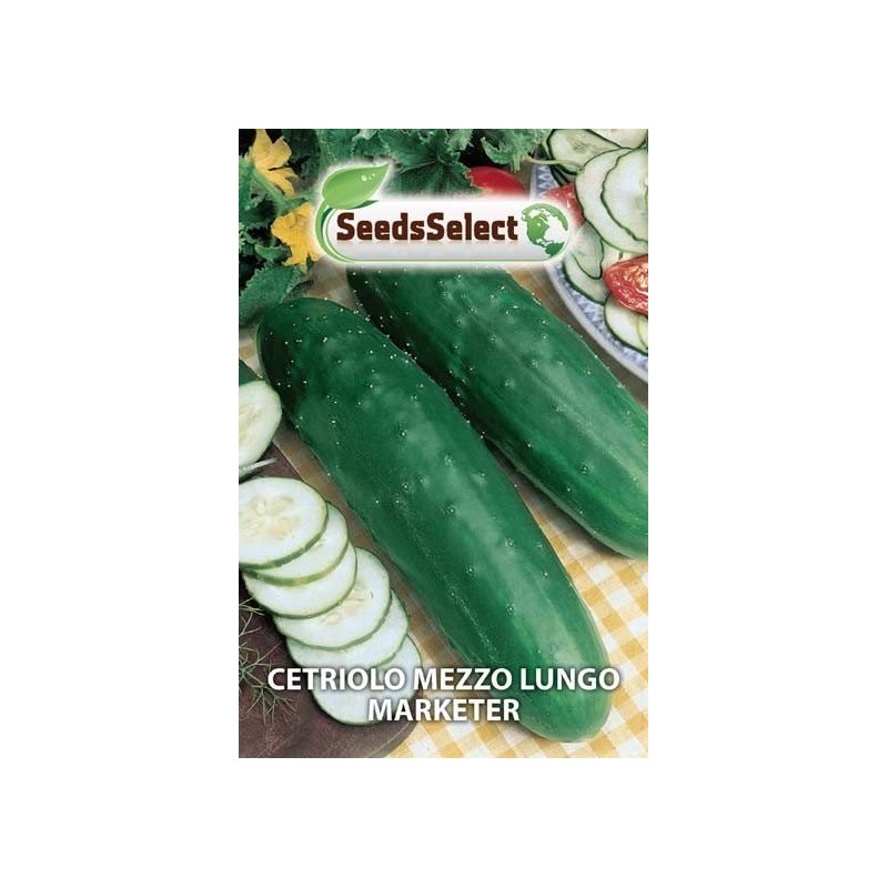 pepino medio largo Marketer