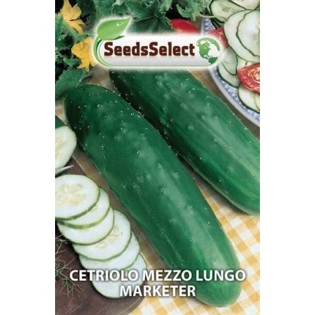 pepino medio largo Marketer