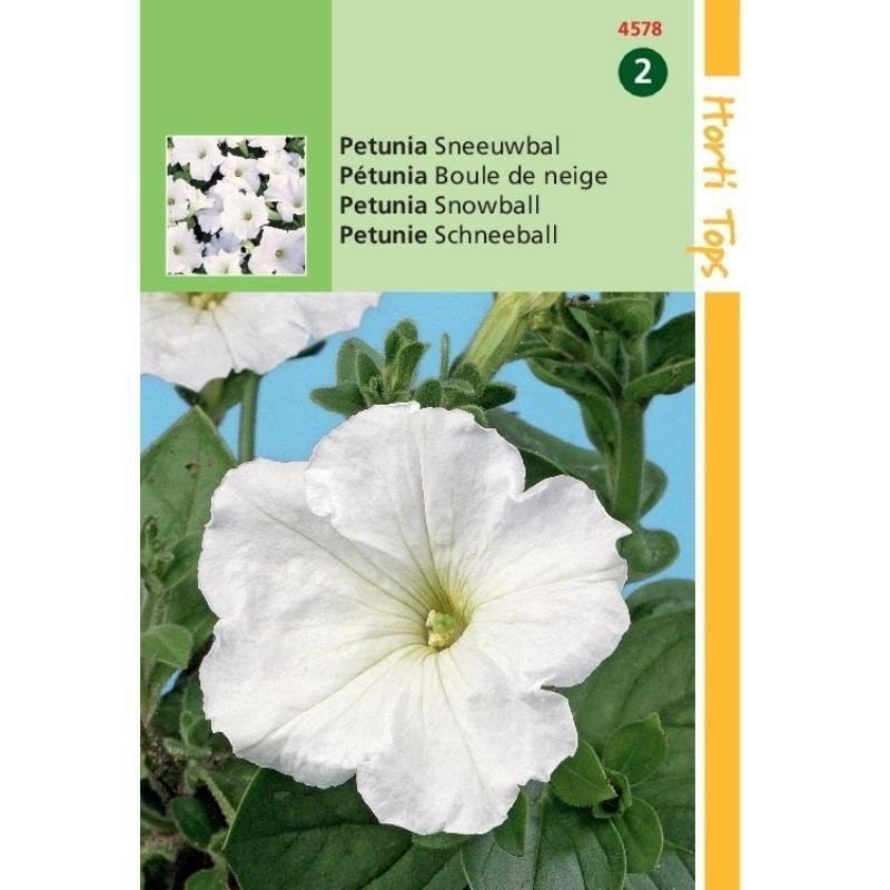 petunia blanca bola de nieve