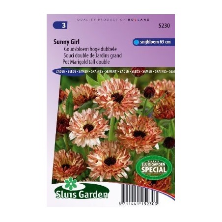 calendula Sunny Girl (Calendula officinalis)
