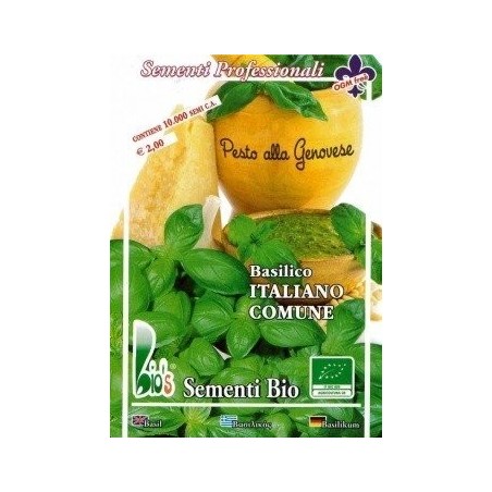 albahaca genovese - semillas ecolÃ³gicas