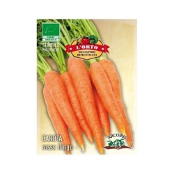 zanahoria roja ottusa (semillas ecolÃ³gicas)