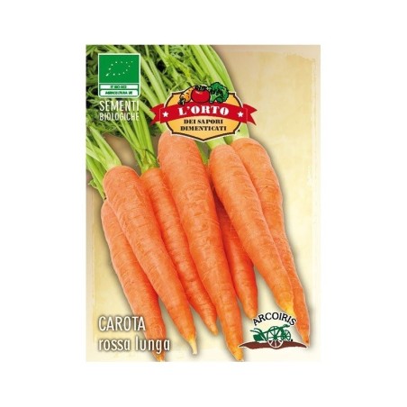 zanahoria roja ottusa (semillas ecolÃ³gicas)