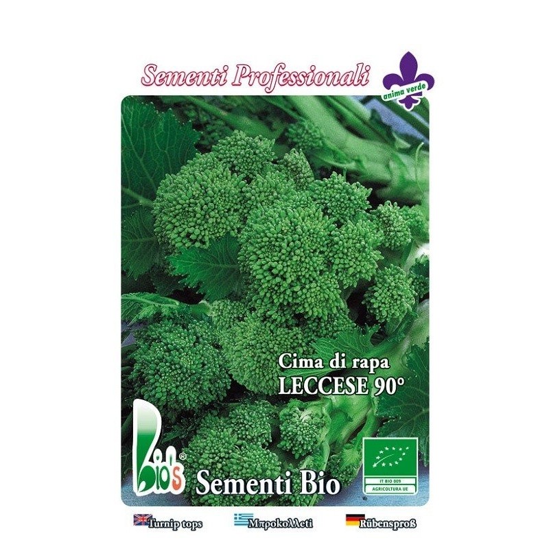 brocoli rapa  de Lecce 90 - semillas ecolÃ³gicas