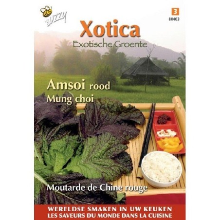 amsoi rojo mung choi