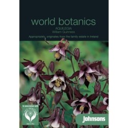 Aquilegia William Guiness