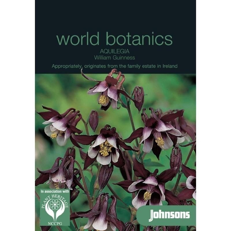 Aquilegia William Guiness