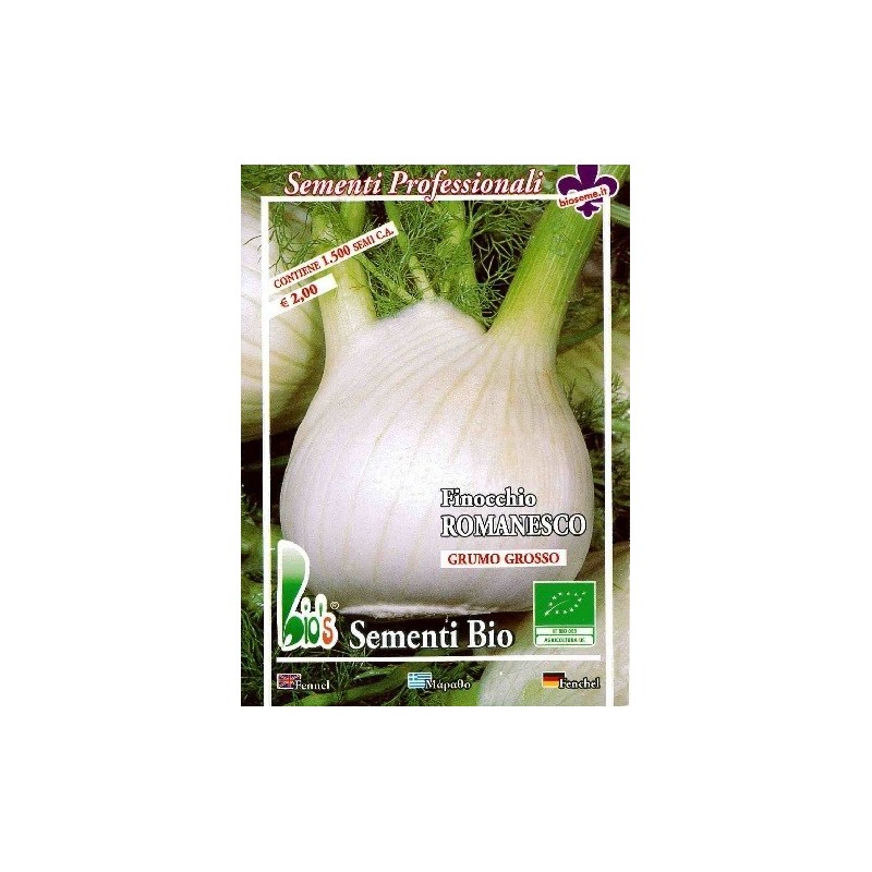 hinojo romanesco semillas ecolÃ³gicas