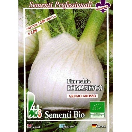 hinojo romanesco semillas ecolÃ³gicas