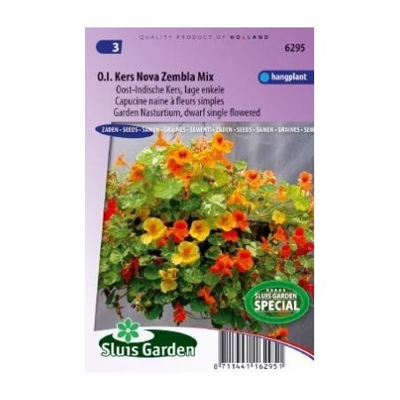 capuchina nova zembla (Tropaeolum majus minus)