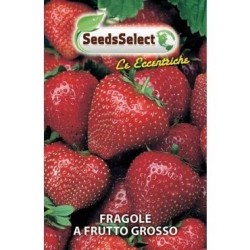 fresas