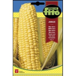 maiz dulce jubilee