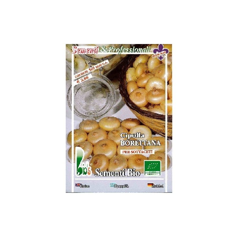 cebolla amarilla borettana semillas ecolÃ³gicas