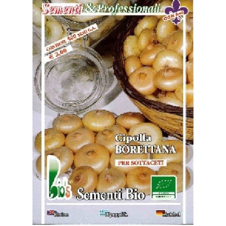 cebolla amarilla borettana semillas ecolÃ³gicas