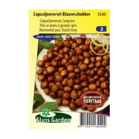 guisante azul Marrowfat Blauwschokker