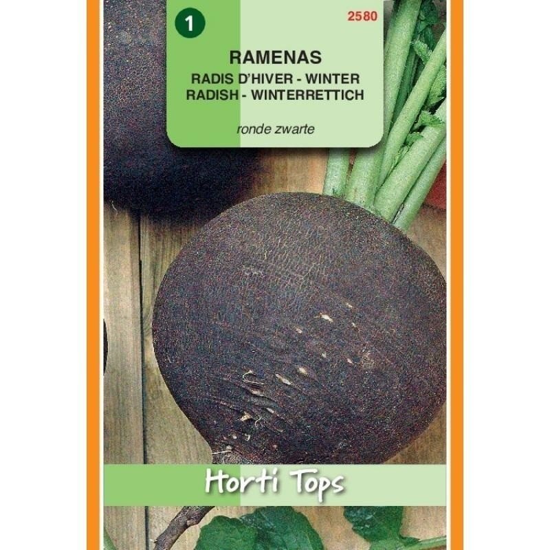 rabano negro redondo zwarte
