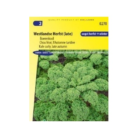 Kale Late Autumn (Westlandse Herfst late)