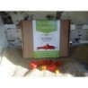 Pack semillas de pimientos picantes
