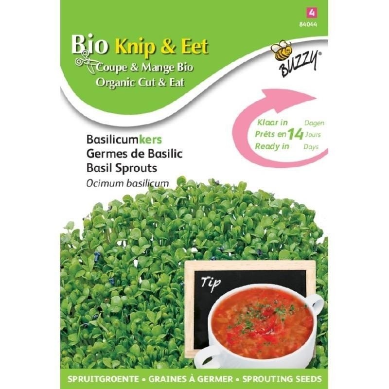brotes de albahaca ecolÃ³gicos