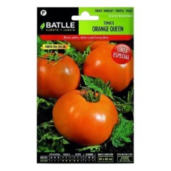 Tomate orange queen