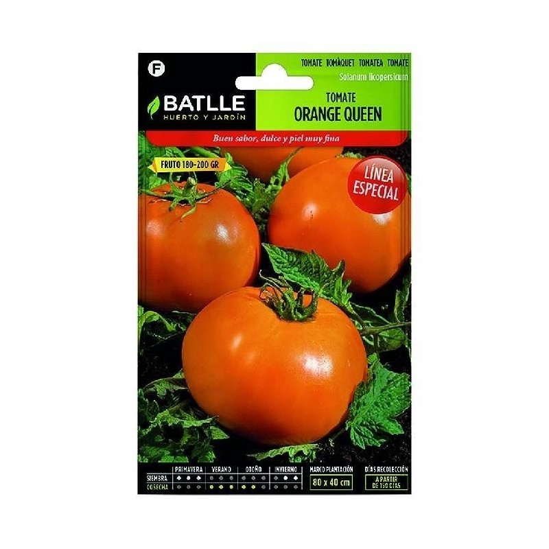 Tomate orange queen