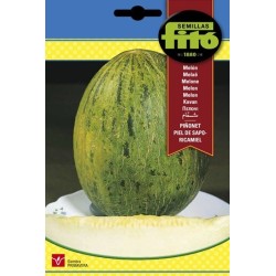 melon piÃ±onet piel de sapo