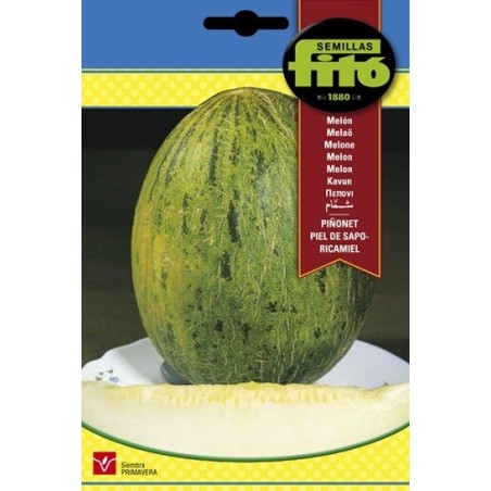 melon piÃ±onet piel de sapo