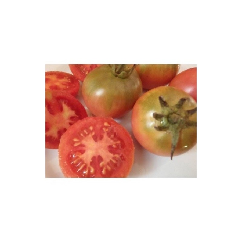 tomate St. Jaume de Sesoliveres (de colgar) semillas ecolÃ³gicas