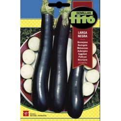 berenjena larga negra
