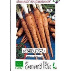 scorzobianca (semillas ecolÃ³gicas)