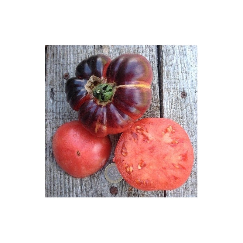 tomate blue betty (semillas ecolÃ³gicas)