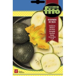 calabacin redondo de Niza