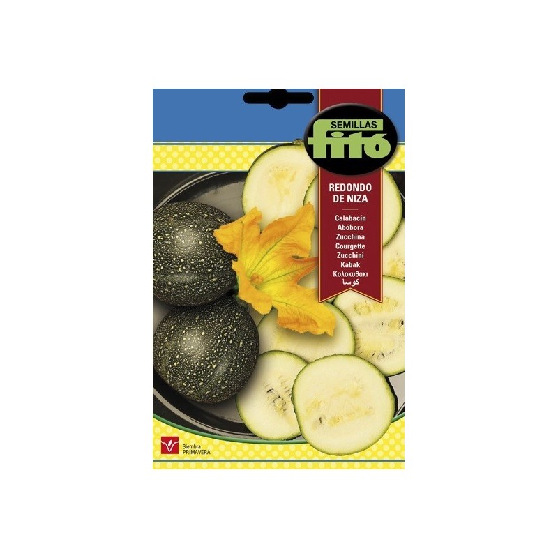 calabacin redondo de Niza