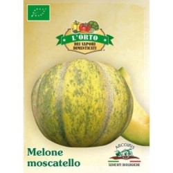 melon moscatello  (semillas ecolÃ³gicas)