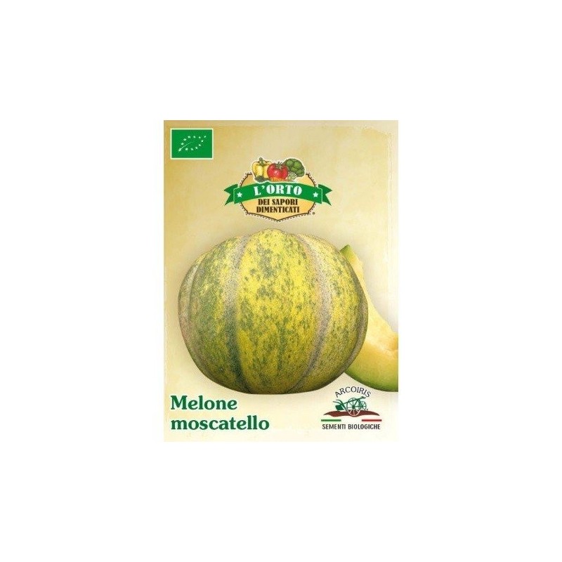 melon moscatello  (semillas ecolÃ³gicas)