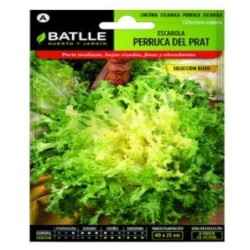 escarola perruca del Prat sel rizos