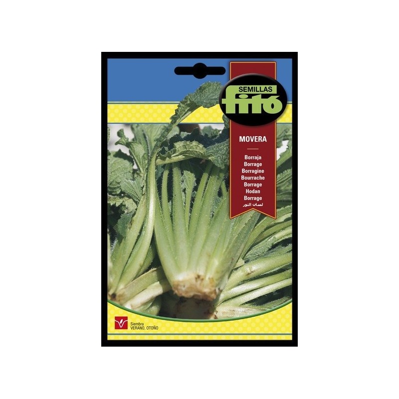 borraja Movera