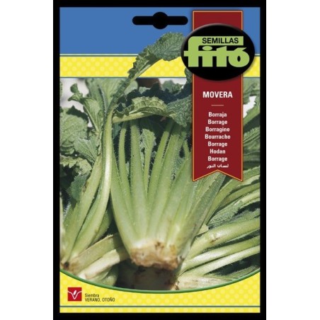 borraja Movera