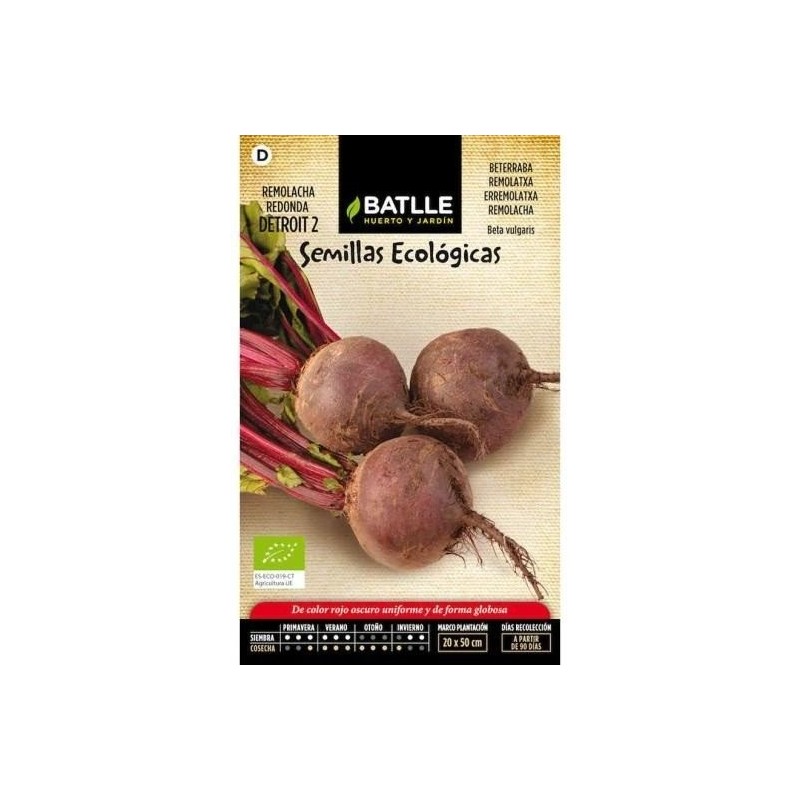 remolacha detroit 2 - semillas ecolÃ³gicas