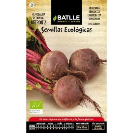 remolacha detroit 2 - semillas ecolÃ³gicas