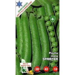 guisante sprinter - semillas ecologicas