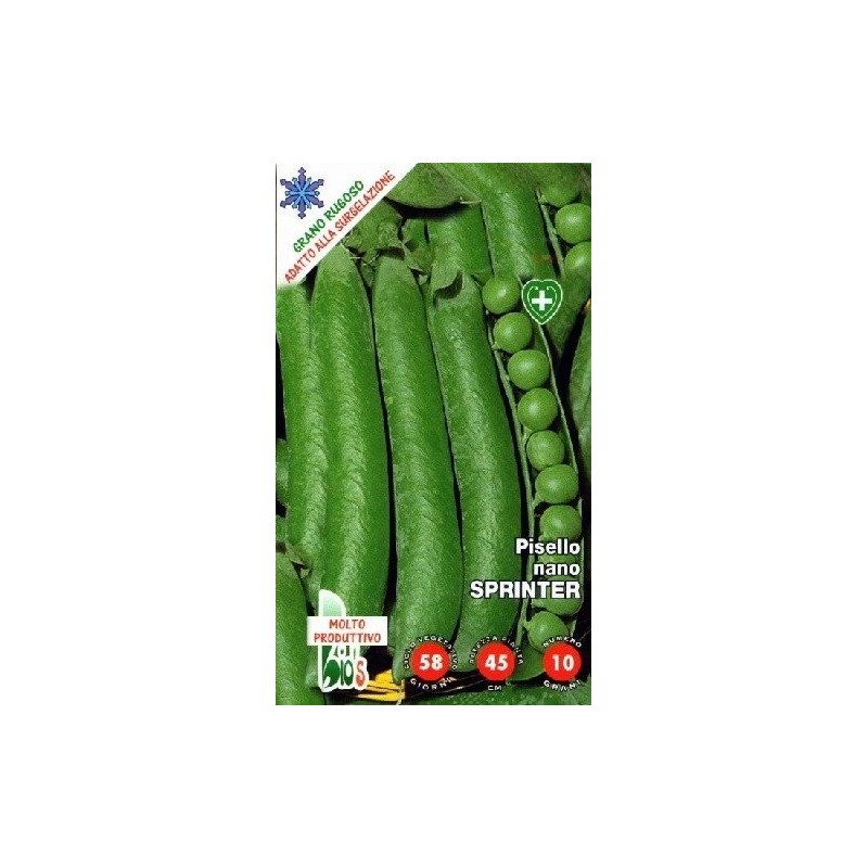 guisante sprinter - semillas ecologicas